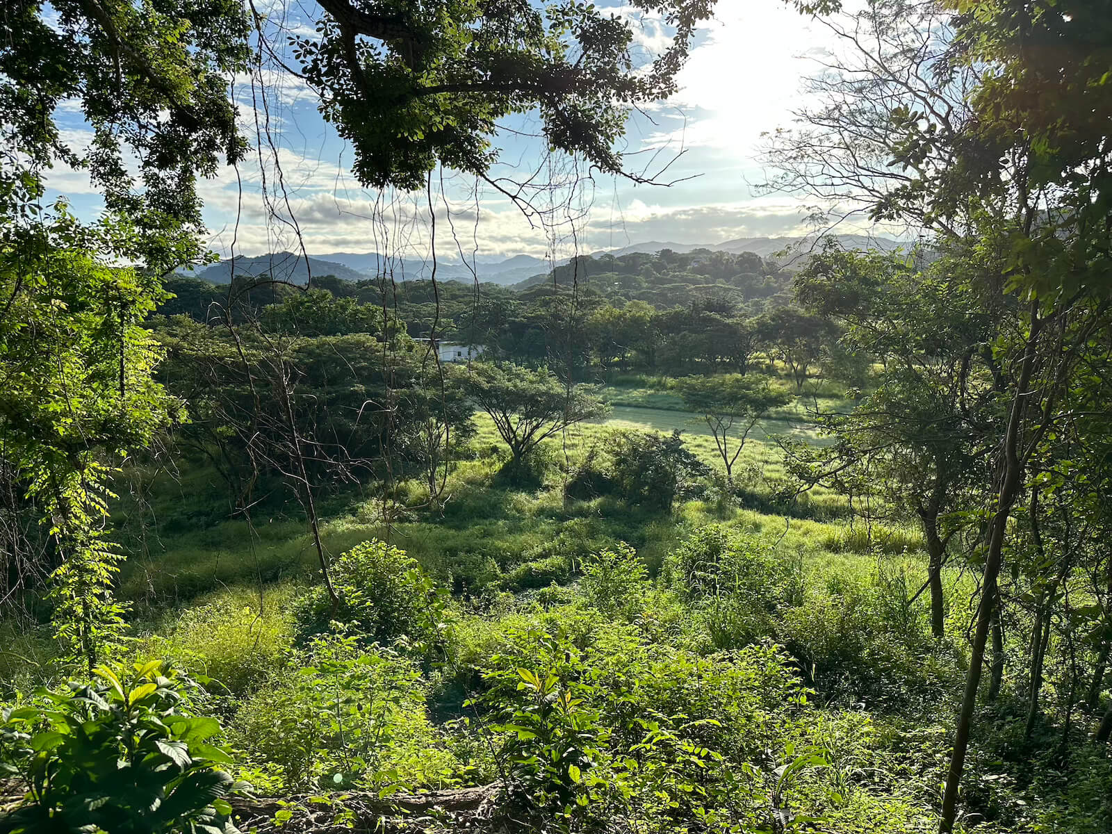 Land for sale in Costa Rica